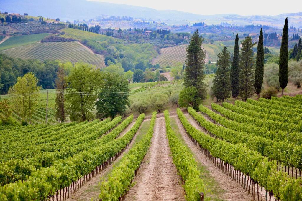 Lovely 2 Bedroom In San Gimignano Historic Center Exterior photo